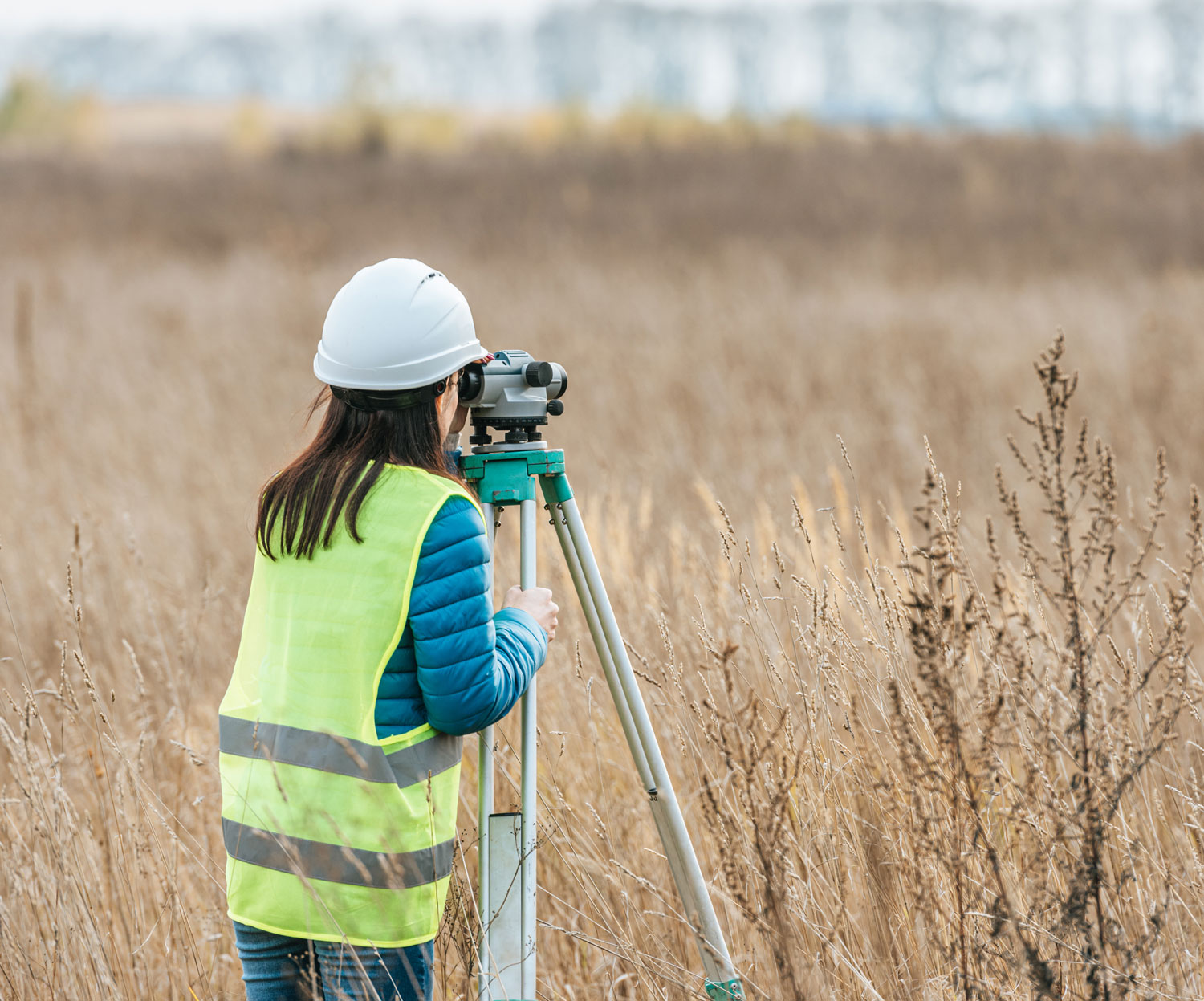 Housing Surveyor inspecting a property